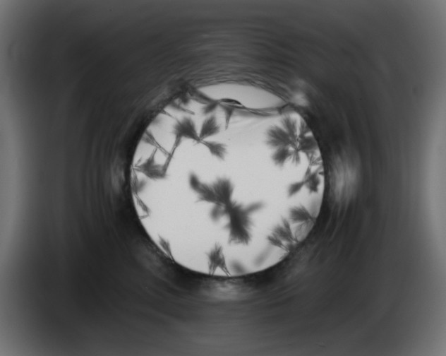 X0000083030618200703022027