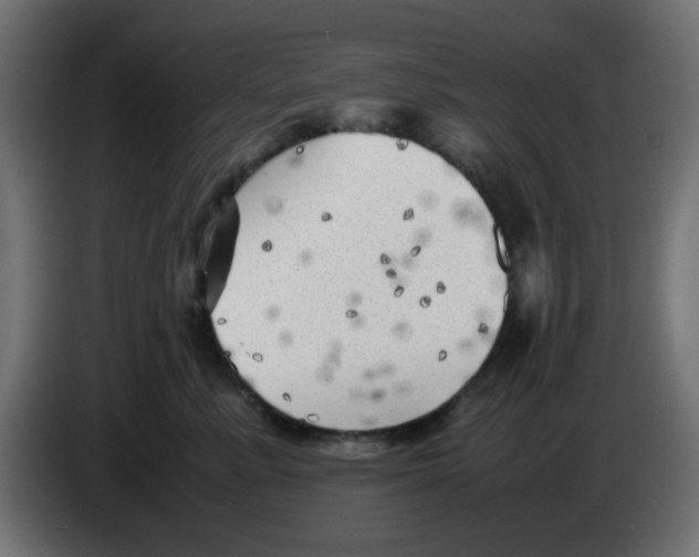 X0000083030619200703022027