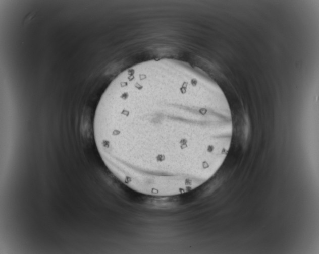 X0000083030622200703022027