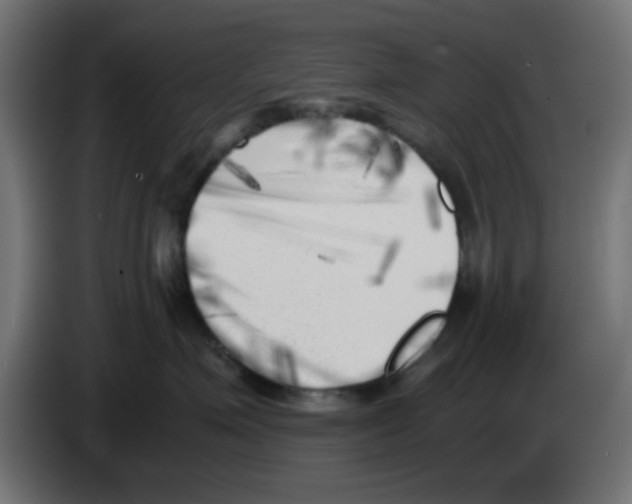 X0000083030623200703022027