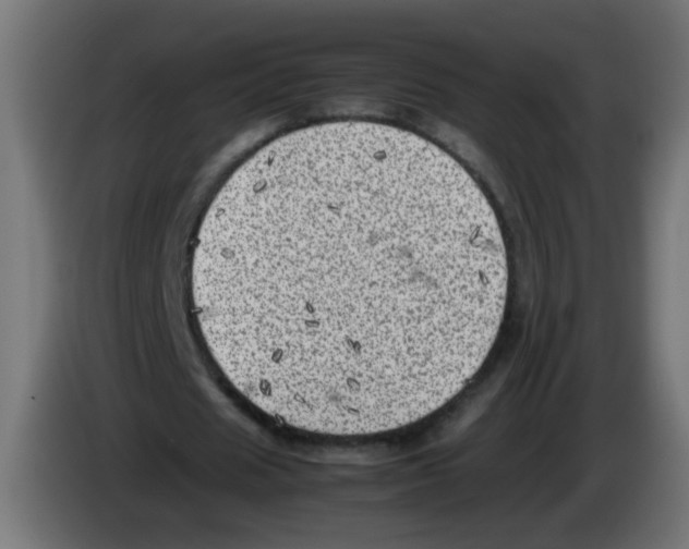 X0000083030625200703022027