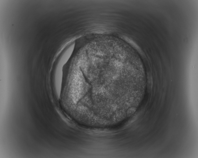 X0000083030626200703022027