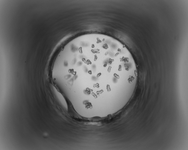 X0000083030628200703022027