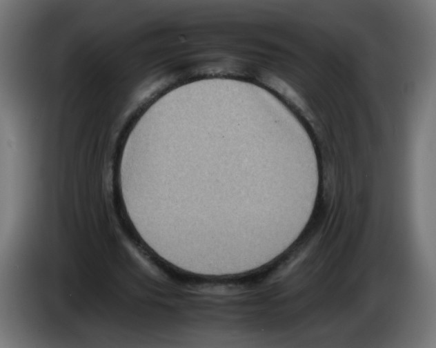 X0000083030629200703022027