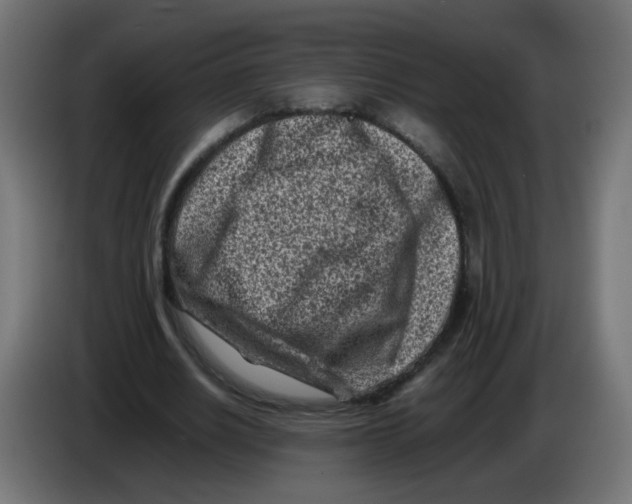 X0000083030630200703022027