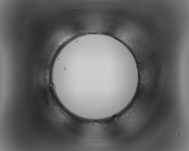 X0000083030632200703022027