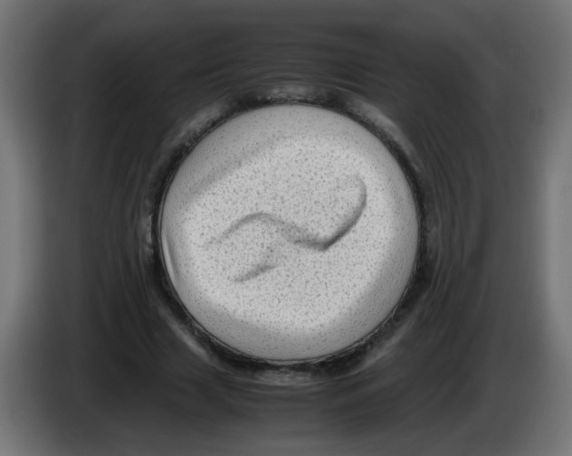 X0000083030633200703022027