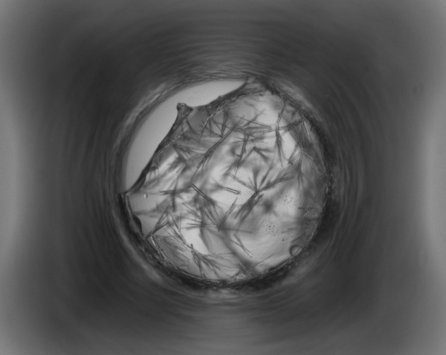 X0000083030634200703022027