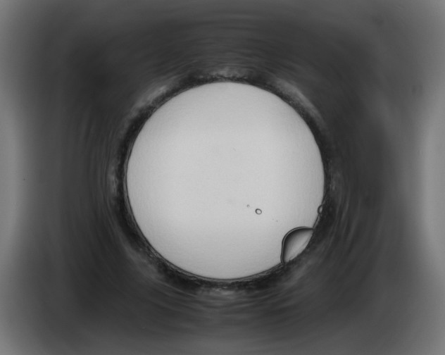 X0000083030635200703022027