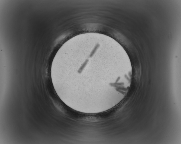 X0000083030636200703022027