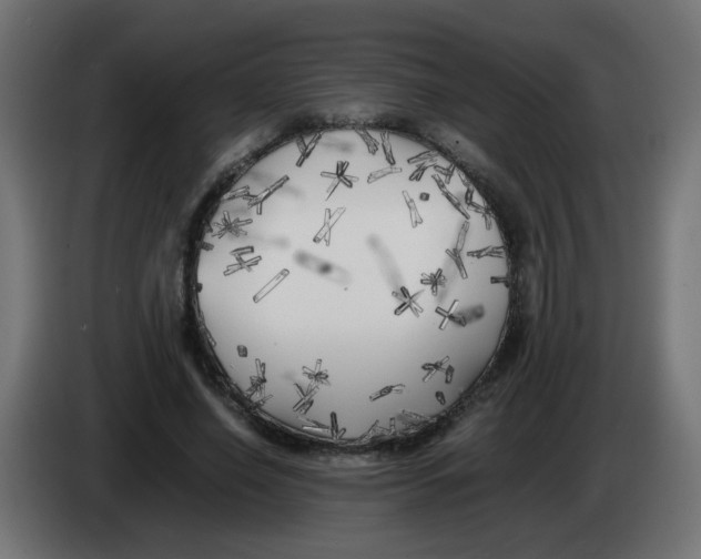 X0000083030638200703022027