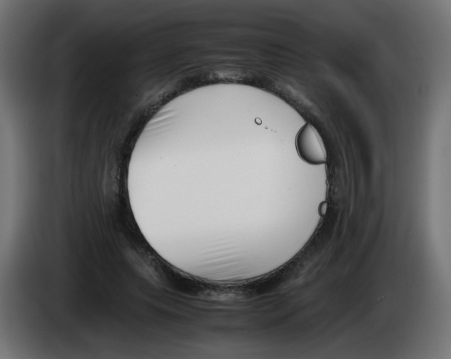 X0000083030639200703022027