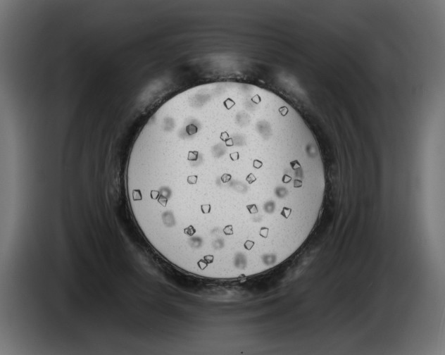 X0000083030642200703022027