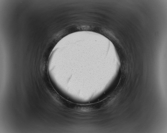 X0000083030645200703022027