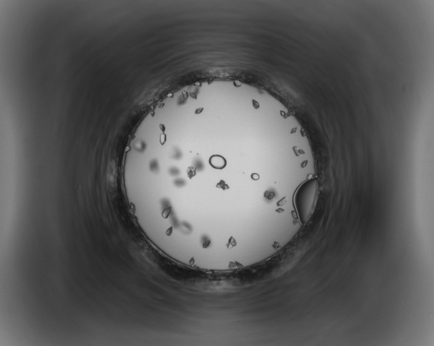 X0000083030646200703022027