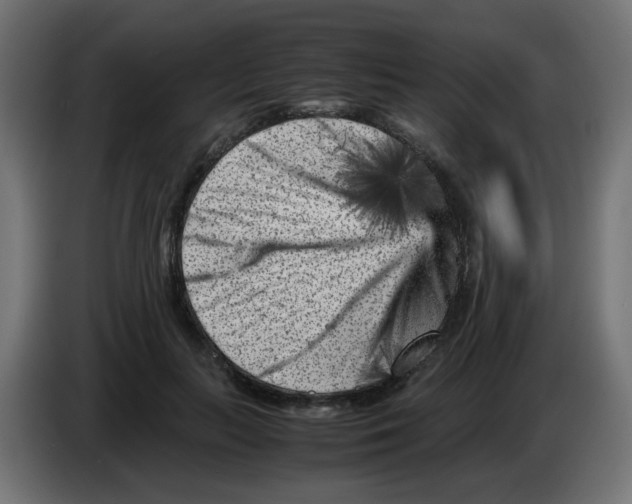 X0000083030647200703022027