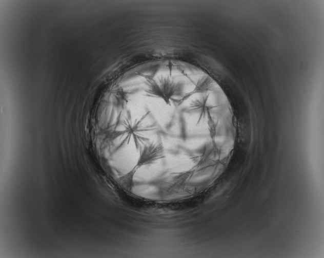 X0000083030648200703022027