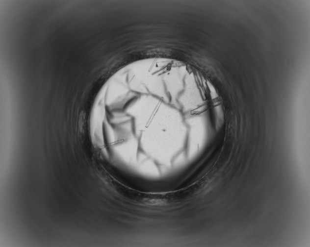 X0000083030649200703022027