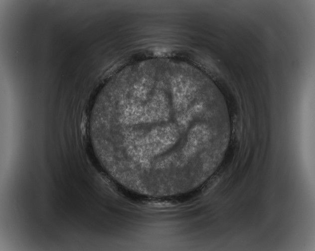 X0000083030650200703022027