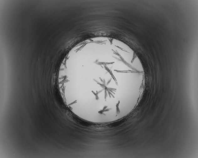 X0000083030652200703022027