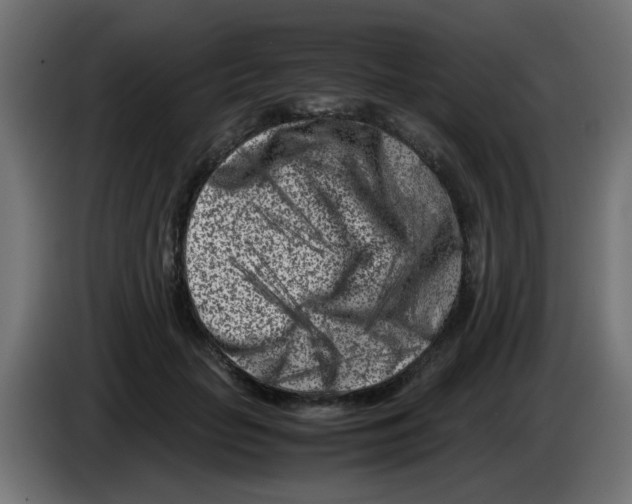 X0000083030653200703022027