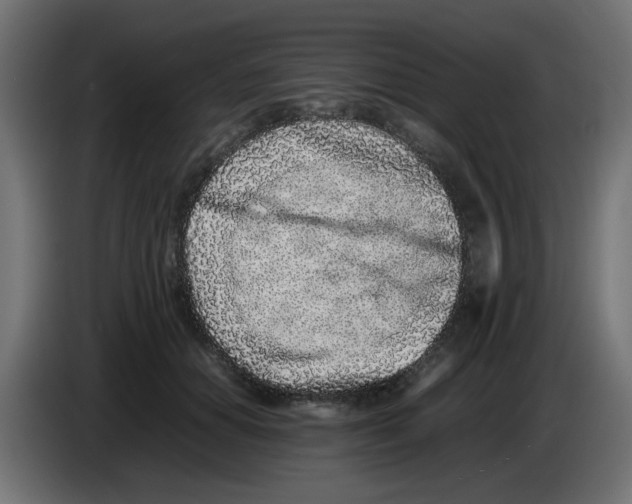 X0000083030654200703022027