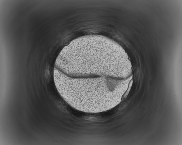 X0000083030655200703022027