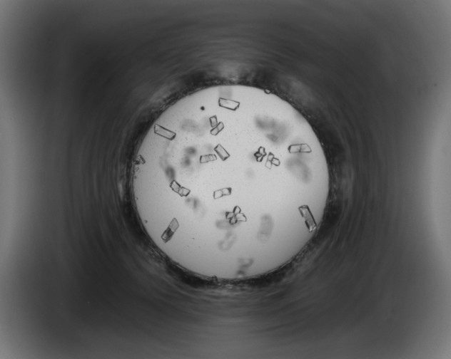 X0000083030656200703022027