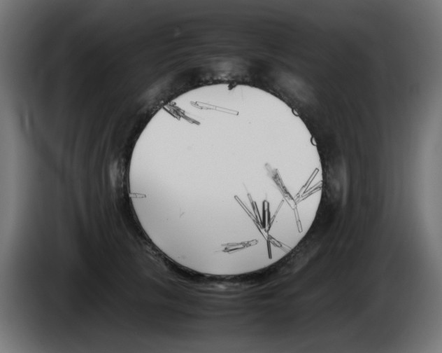 X0000083030657200703022027