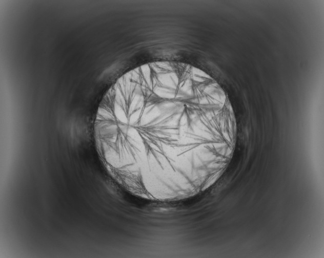 X0000083030658200703022027