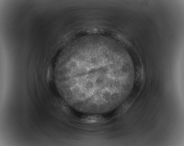 X0000083030659200703022027