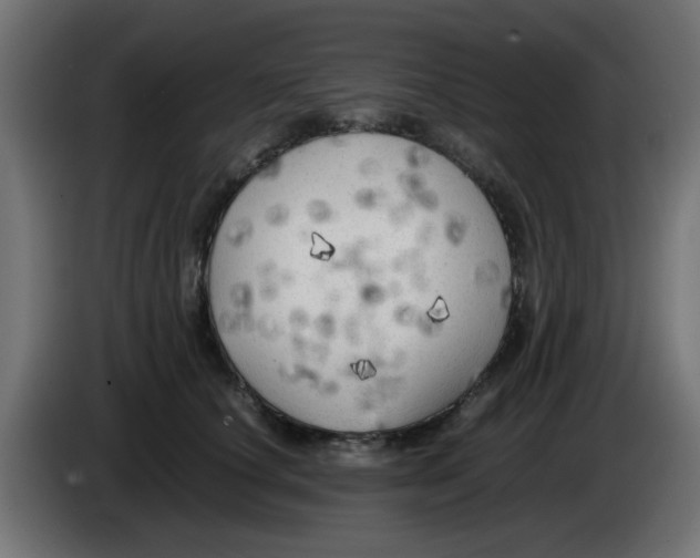 X0000083030660200703022027