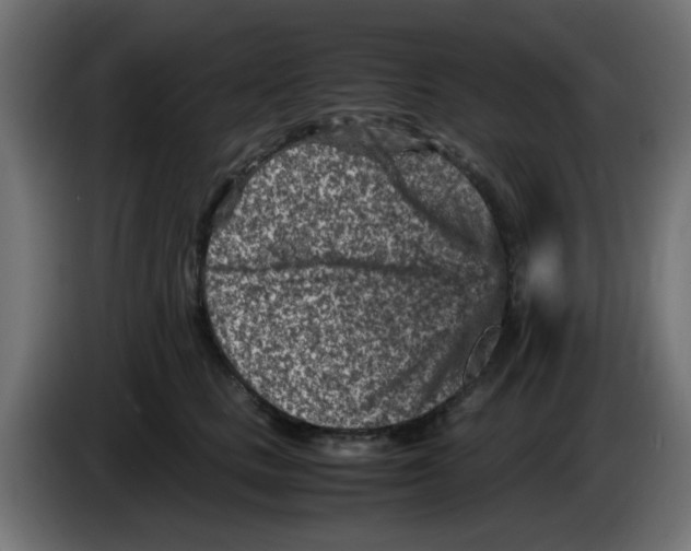 X0000083030661200703022027