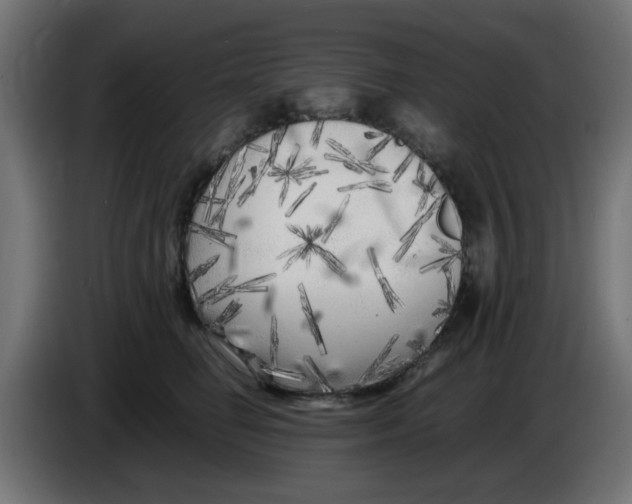 X0000083030662200703022027