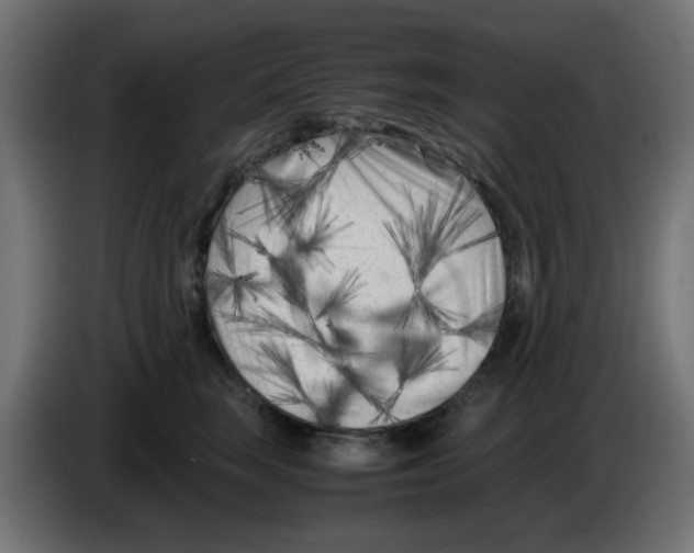 X0000083030663200703022027