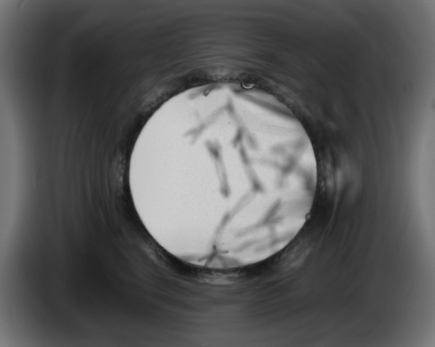 X0000083030664200703022027