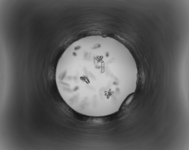 X0000083030665200703022027