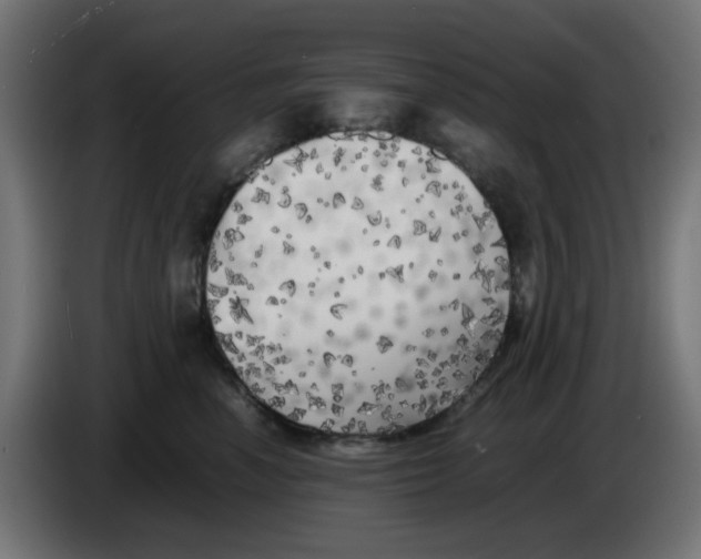 X0000083030666200703022027