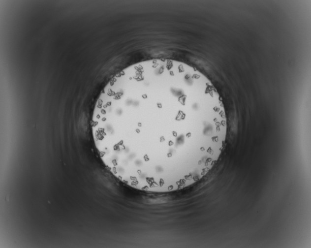 X0000083030667200703022027