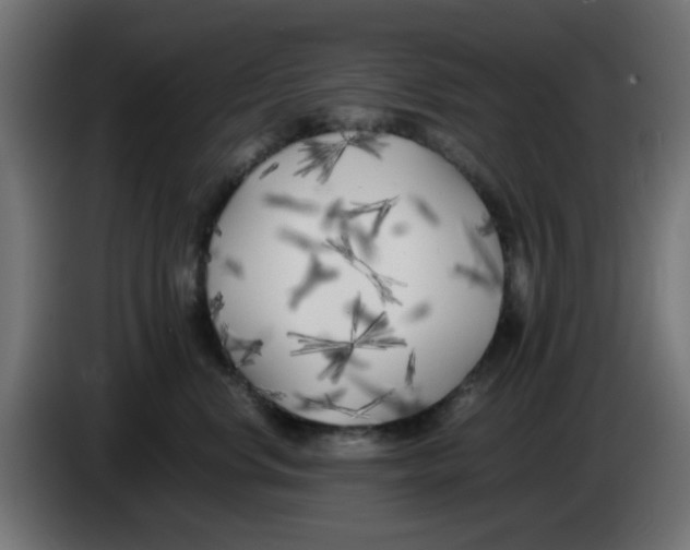 X0000083030668200703022027