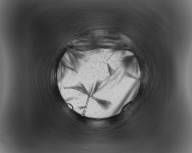 X0000083030669200703022027