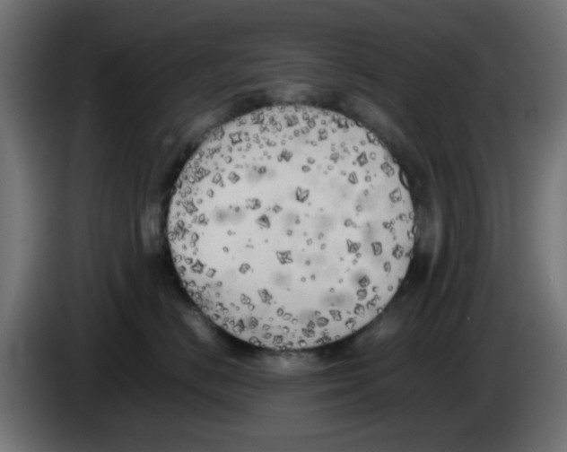 X0000083030670200703022027