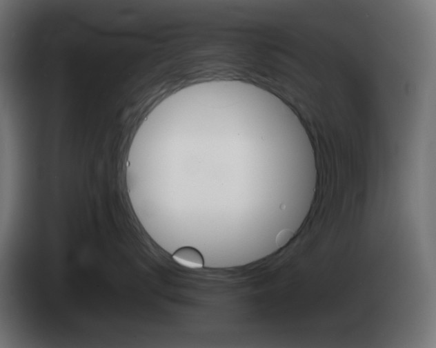 X0000083030672200703022027