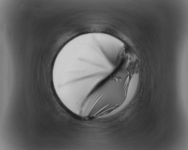 X0000083030673200703022027