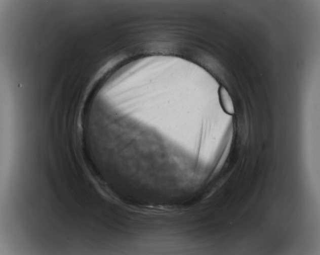 X0000083030674200703022027