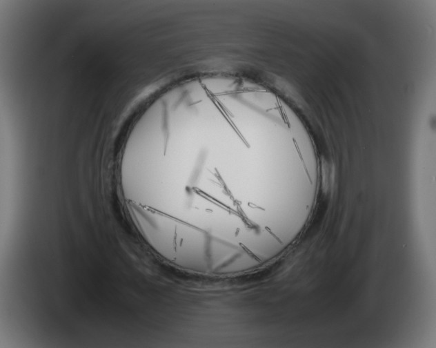 X0000083030675200703022027