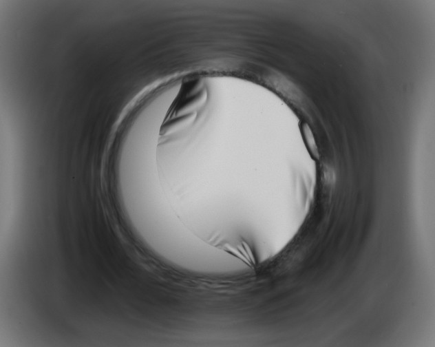 X0000083030676200703022027