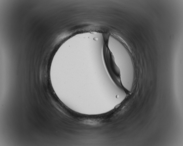 X0000083030677200703022027