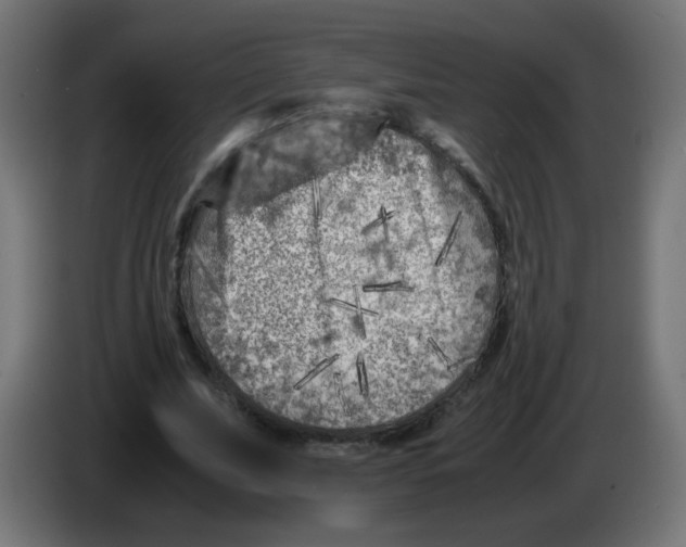 X0000083030679200703022027