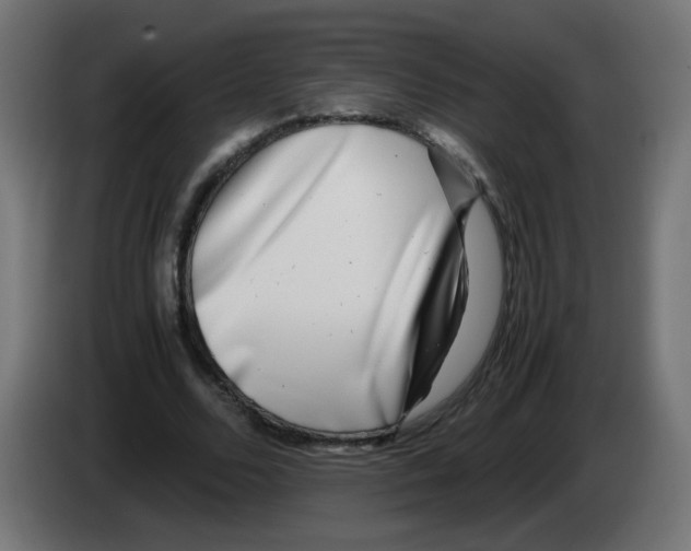 X0000083030680200703022027